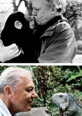 David-Attenborough-cumplira-100-anos-el-8-de-mayo-de-2026