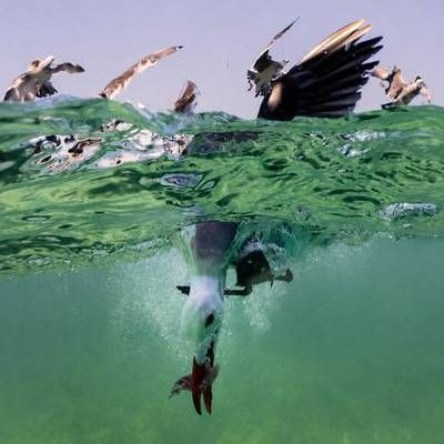 Llega-a-Guadalajara-la-exposicion-fotografica-El-Mexico-de-los-mexicanos-con-55-imagenes