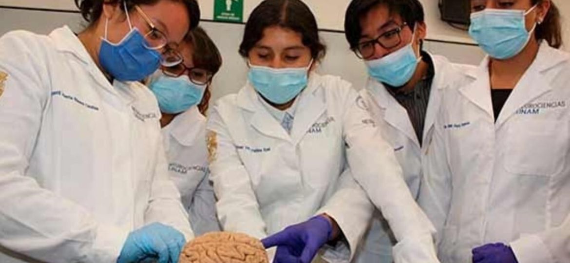 Mujeres-son-mayoria-en-Medicina-pero-siguen-subrepresentadas-en-cargos-directivos