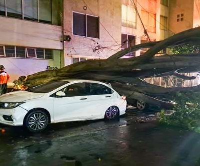 Benito-Juarez-arbol-cae-sobre-dos-autos-durante-lluvia-brigadas-municipales-retiran-los-restos
