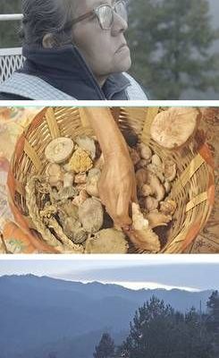Braulia-el-documental-que-retrata-los-saberes-de-curar-en-la-Sierra-Sur-de-Oaxaca
