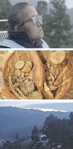 Braulia-el-documental-que-retrata-los-saberes-de-curar-en-la-Sierra-Sur-de-Oaxaca