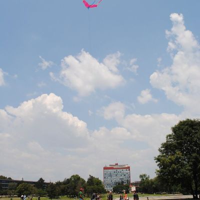 Comision-tecnica-de-la-UNAM-informara-este-viernes-sobre-el-examen-de-ingreso