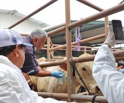 Inauguran-en-Chiapas-biofabrica-para-producir-moscas-esteriles-contra-el-gusano-barrenador