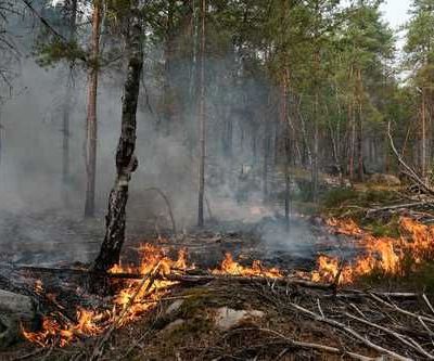 Incendios-en-el-bosque-de-Fontainebleau-consumen-mas-de-2000-hectareas-evacuan-a-mil-personas-cerca-de-Paris