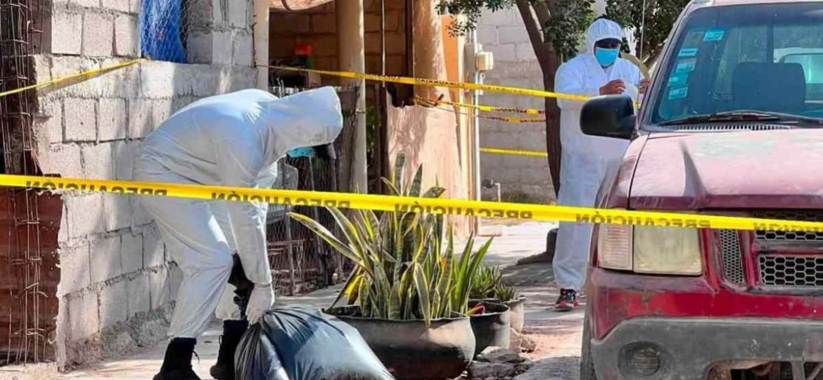 Investigan-envenenamiento-de-13-perros-en-Comondu-dos-mujeres-intoxicadas