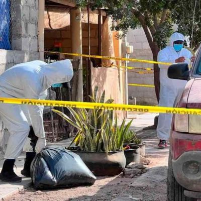 Investigan-envenenamiento-de-13-perros-en-Comondu-dos-mujeres-intoxicadas