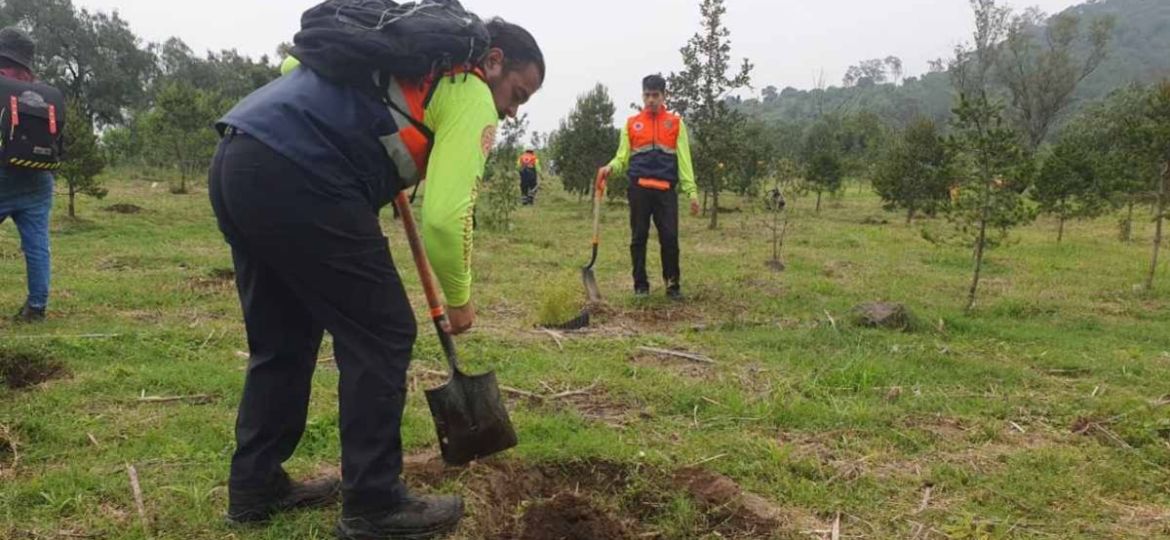 Iztapalapa-anuncia-plantacion-de-20000-arboles-para-recuperar-50-hectareas-del-Cerro-de-la-Estrella
