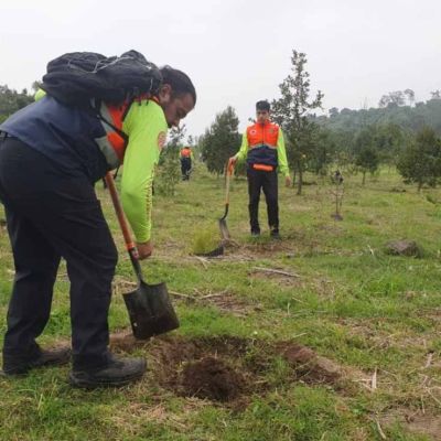 Iztapalapa-anuncia-plantacion-de-20000-arboles-para-recuperar-50-hectareas-del-Cerro-de-la-Estrella