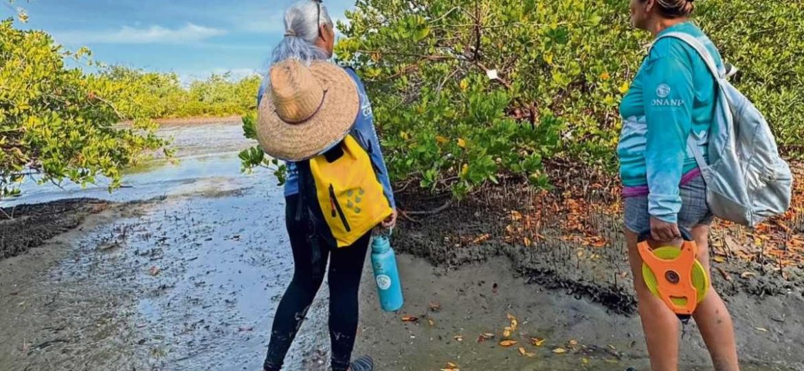 Las-Guardianas-del-Conchalito-como-12-mujeres-restauran-el-manglar-de-La-Paz