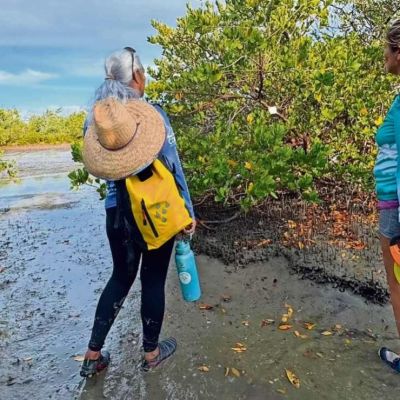 Las-Guardianas-del-Conchalito-como-12-mujeres-restauran-el-manglar-de-La-Paz