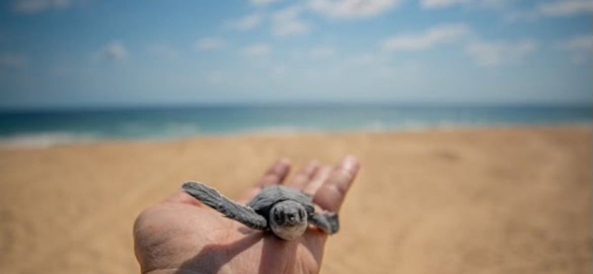 Michoacan-listo-para-el-verano-Bedolla-invita-a-visitar-playas-y-Pueblos-Magicos