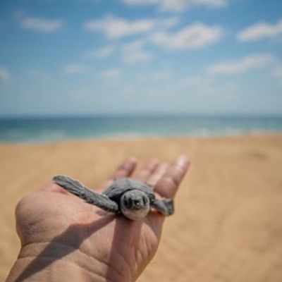 Michoacan-listo-para-el-verano-Bedolla-invita-a-visitar-playas-y-Pueblos-Magicos