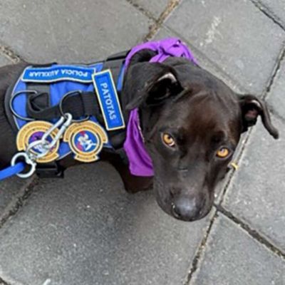 Policias-auxiliares-adoptan-a-Patotas-perrita-de-tres-patas