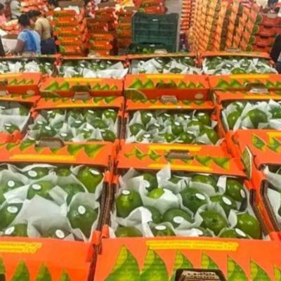Productores-de-Papantla-exportan-limon-persa-a-EU-y-Rusia-inician-envios-a-McAllen-y-Moscu