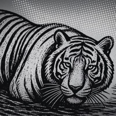 Recortes-a-Profepa-y-la-muerte-del-tigre-Kenzo-ponen-en-evidencia-la-supervision-de-recintos-con-fauna