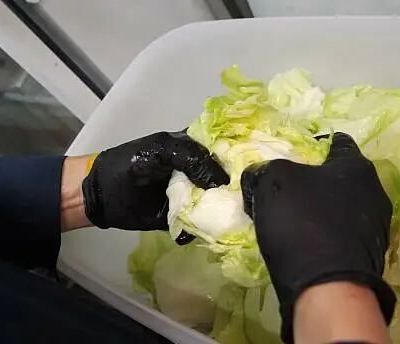 Sectores-piden-aumentar-presupuesto-para-sanidad-agroalimentaria-tras-caso-de-lechuga-vinculada-a-ciclospora