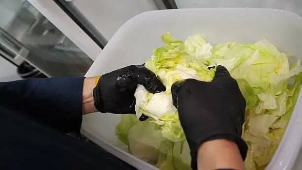 Sectores-piden-aumentar-presupuesto-para-sanidad-agroalimentaria-tras-caso-de-lechuga-vinculada-a-ciclospora