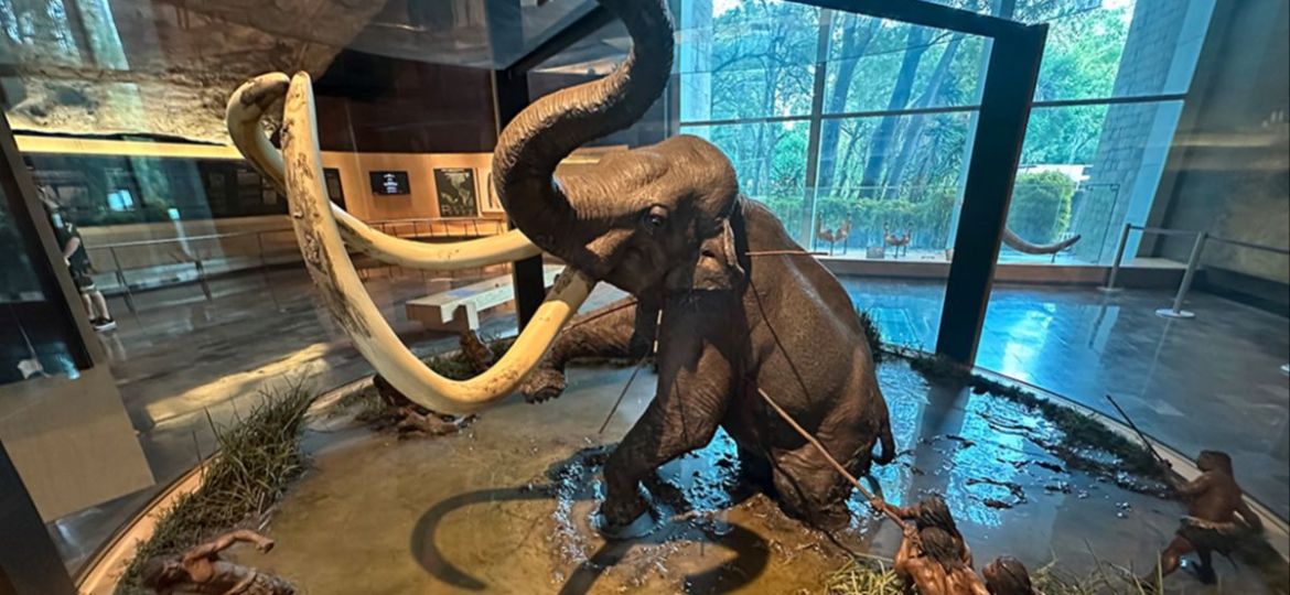 Siguiendo-las-huellas-del-mamut-en-el-Valle-de-Mexico
