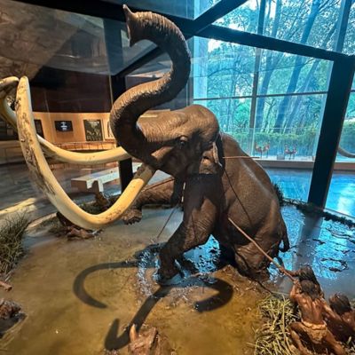 Siguiendo-las-huellas-del-mamut-en-el-Valle-de-Mexico