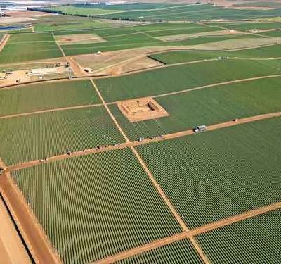 Superavit-agroalimentario-cae-16.2-en-enero‑mayo-de-2026