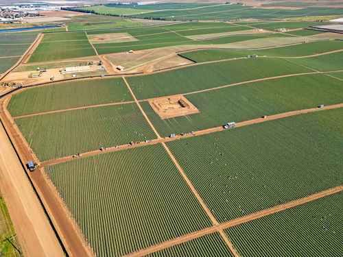Superavit-agroalimentario-cae-16.2-en-enero‑mayo-de-2026
