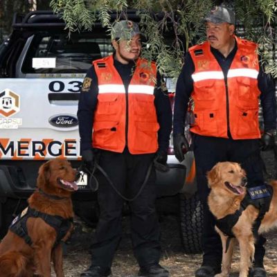 UNAM-incorpora-dos-caninos-detectores-de-armas-y-explosivos-Cuauhtli-y-Balam