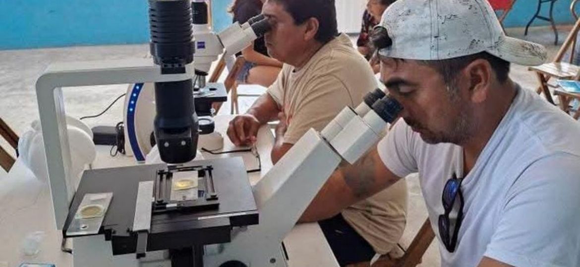 Yucatan-impulsa-una-red-comunitaria-de-monitoreo-contra-la-marea-roja