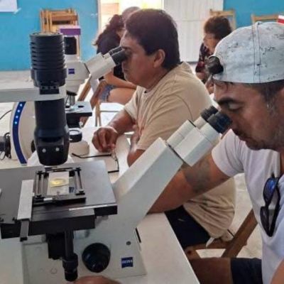Yucatan-impulsa-una-red-comunitaria-de-monitoreo-contra-la-marea-roja