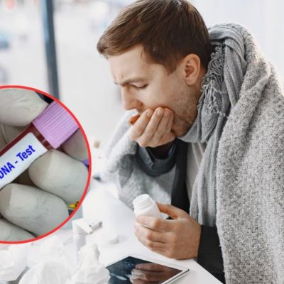 Aislan-en-Galicia-a-dos-contactos-de-turista-con-hantavirus-Andes-los-tres-estan-asintomaticos