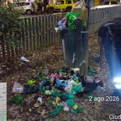 Alcaldia-Cuauhtemoc-recolecta-255-toneladas-de-residuos-al-dia-en-la-via-publica