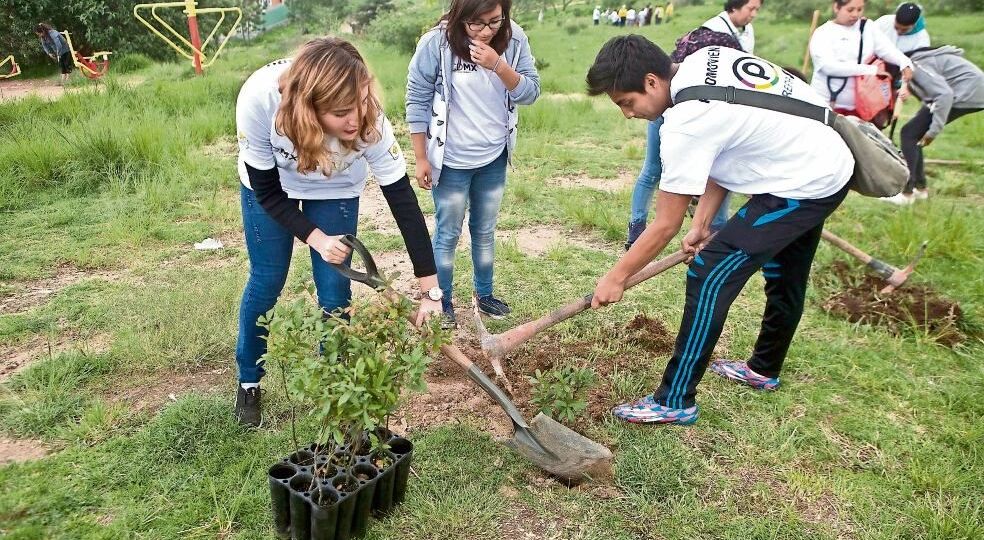 CDMX-participara-en-Jornada-Nacional-de-Reforestacion-con-ocho-puntos-este-domingo