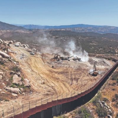 Casi-400-especies-quedan-en-riesgo-por-obras-del-muro-fronterizo-en-el-cerro-Cuchuma