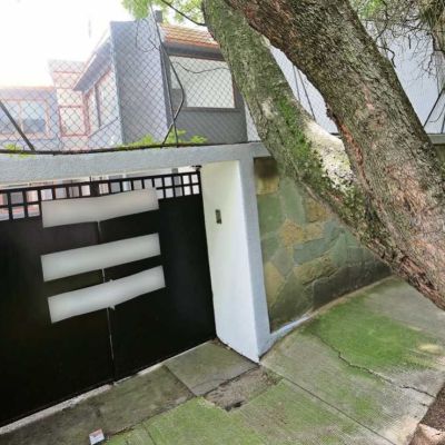 Consejo-Ciudadano-identifica-tres-modalidades-de-despojo-de-inmuebles-en-CDMX