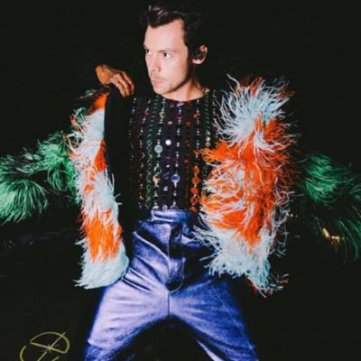 Des-Styles-acompana-a-Harry-Styles-en-su-concierto-en-CDMX