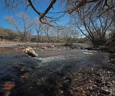 Descarrilamiento-de-Ferromex-provoca-derrame-quimico-en-Naco-Sonora