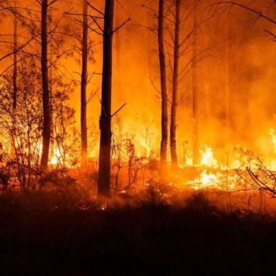 Detienen-a-hombre-acusado-de-iniciar-uno-de-los-mayores-incendios-en-Washington