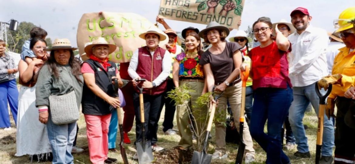 Especialistas-piden-usar-especies-nativas-y-dar-mantenimiento-a-la-reforestacion-urbana