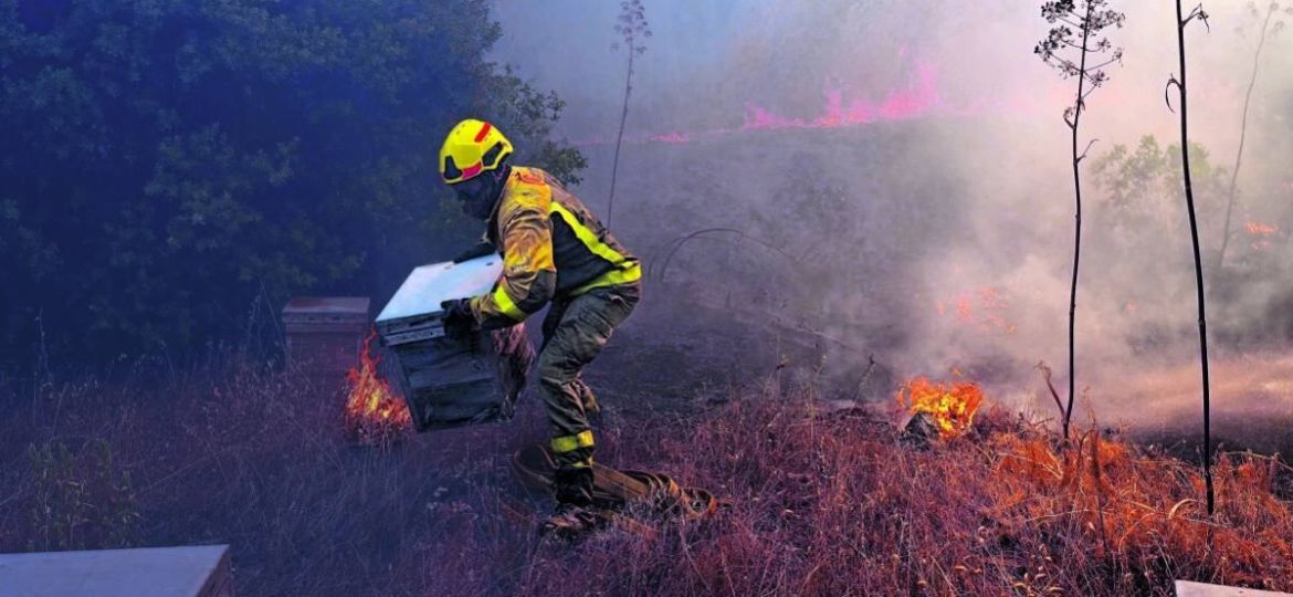 Europa-enfrenta-una-temporada-critica-de-incendios-forestales-y-un-riesgo-creciente