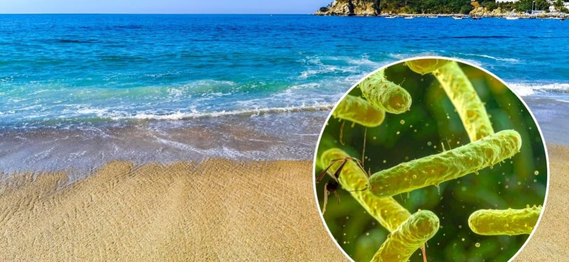 Fallecen-7-personas-por-una-bacteria-carnivora-en-Luisiana-y-Florida