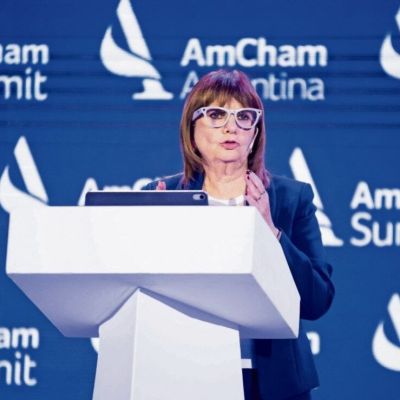 Gobierno-de-Milei-retira-del-debate-el-capitulo-sobre-venta-de-tierras-a-extranjeros