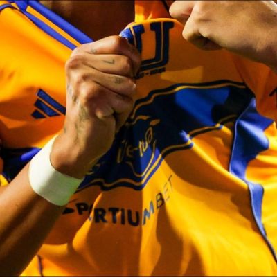 Jorge-Torres-Nilo-afirma-que-quiere-dirigir-a-Tigres-y-devolverlo-a-los-primeros-planos