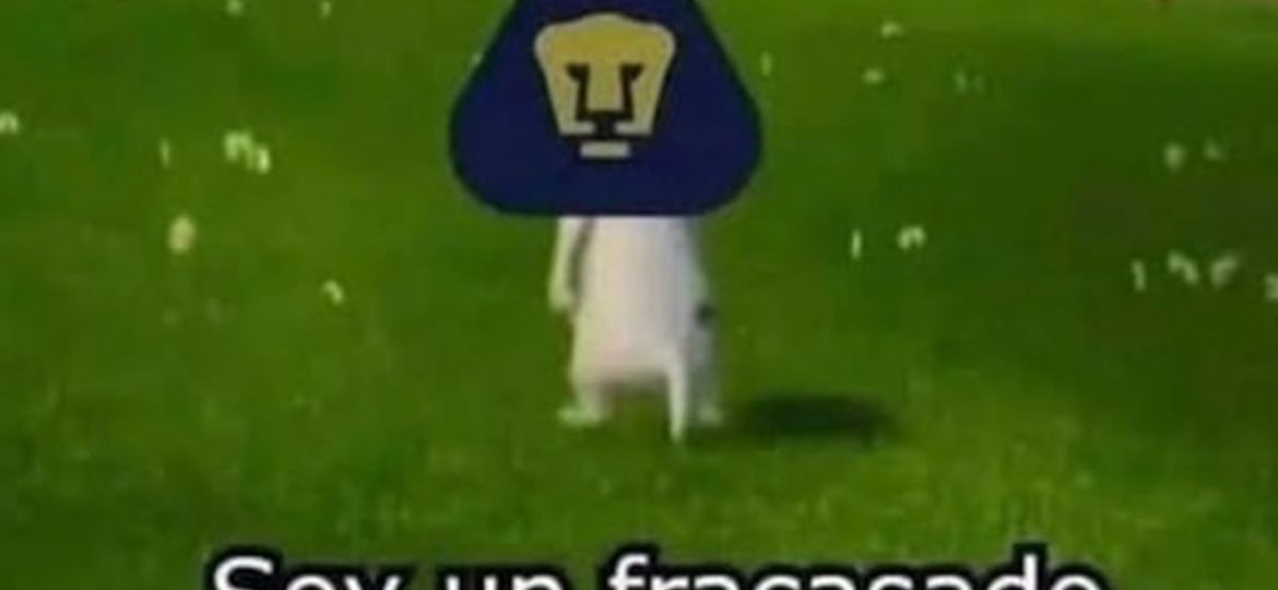 La-goleada-de-Pumas-y-la-derrota-del-Atletico-de-San-Luis-protagonizan-los-memes-de-la-semana