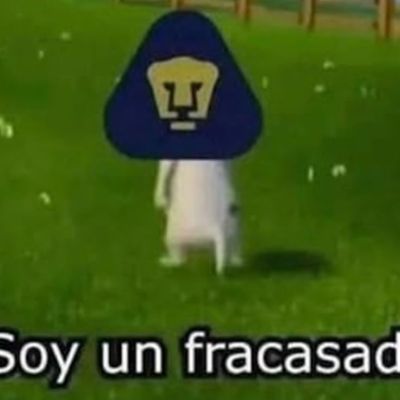 La-goleada-de-Pumas-y-la-derrota-del-Atletico-de-San-Luis-protagonizan-los-memes-de-la-semana