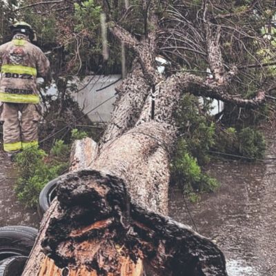 Lluvias-provocan-anegaciones-y-caida-de-arboles-en-municipios-del-Edomex