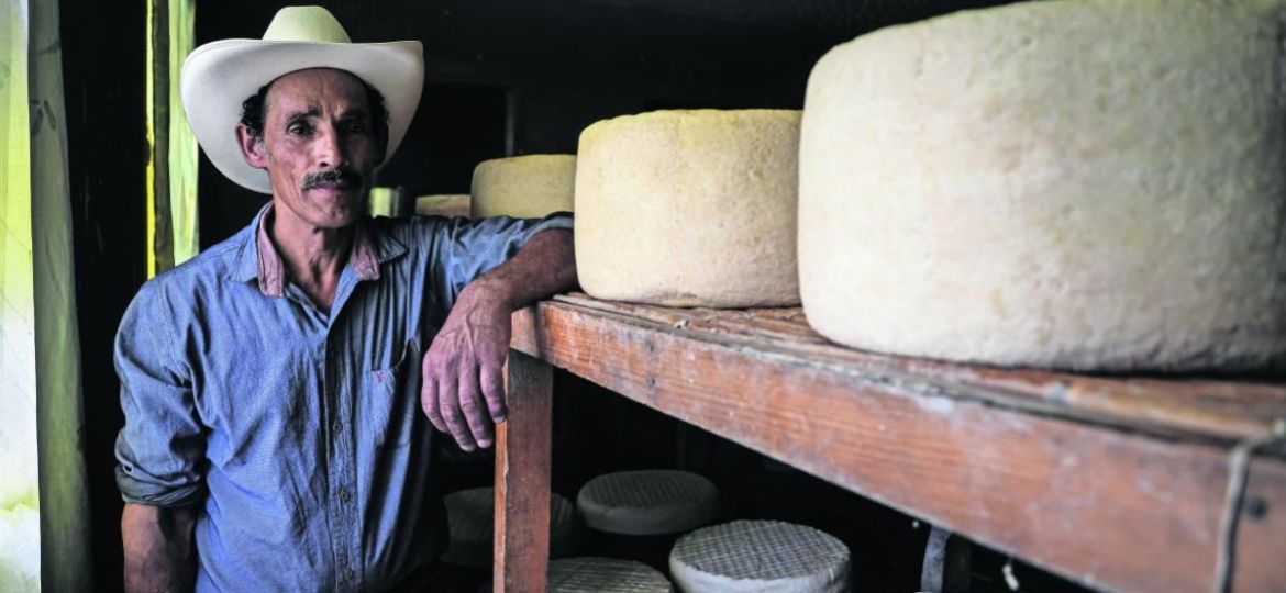 Productores-de-queso-Cotija-buscan-preservar-la-tradicion-artesanal