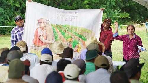 Programa-Comida-Justa-ampliara-proteccion-contra-el-calor-para-jornaleros-en-Estados-Unidos
