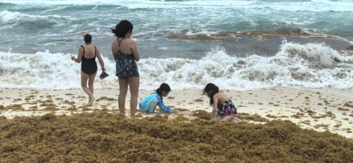 Sargazo-alcanza-niveles-record-en-2026-y-presiona-a-las-costas-de-Quintana-Roo