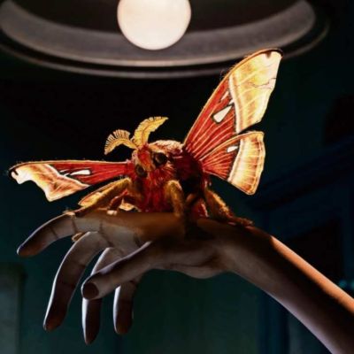 Sofia-Carrillo-imagina-un-mundo-sin-insectos-en-Insectario-despertar