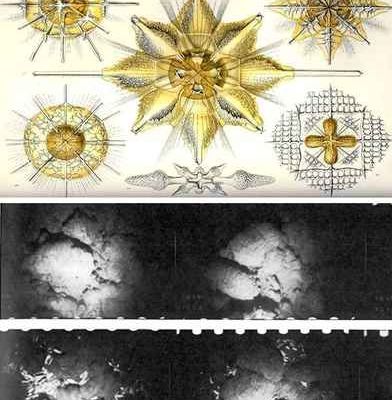 Un-libro-reune-50-imagenes-que-transformaron-la-manera-de-entender-la-ciencia